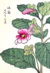 eBook Japanese Flowers big fish