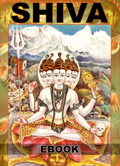 eBook SHIVA ebook Illustrated Monthly