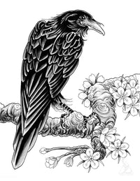 A Murder of Crows | eBook | Shop Illustrated Books, eBooks and Prints