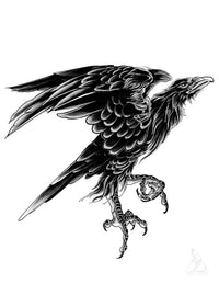 A Murder of Crows | eBook | Shop Illustrated Books, eBooks and Prints