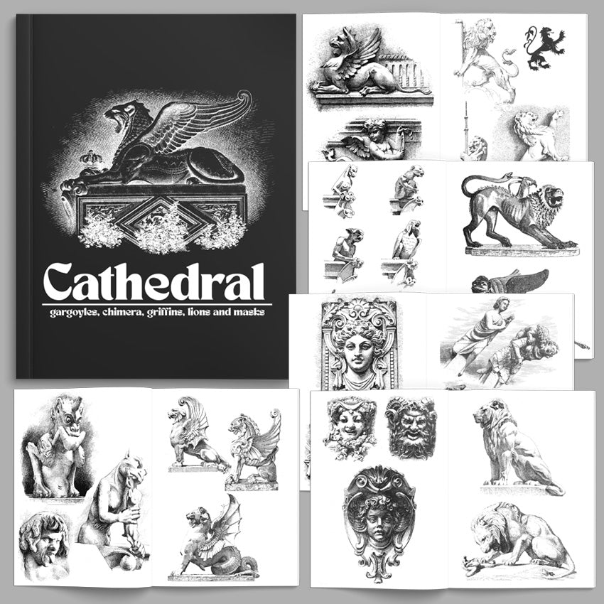 Cathedral | Shop Illustrated and Prints Books, eBooks