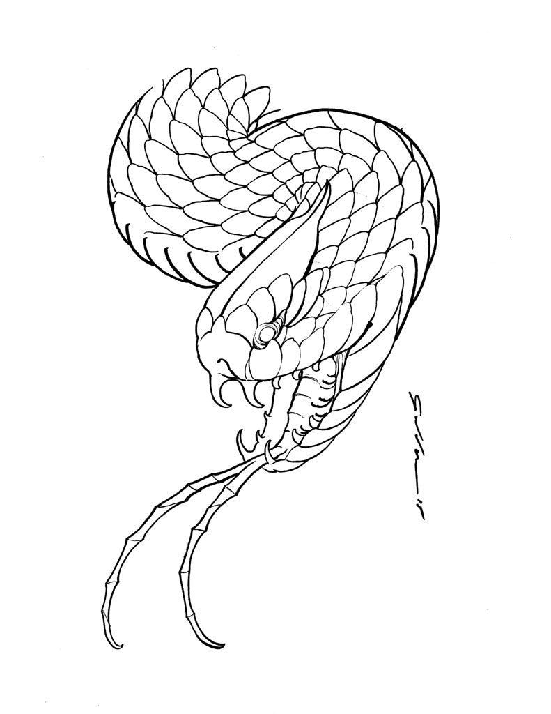 How to Draw Snake Scales - HelloArtsy