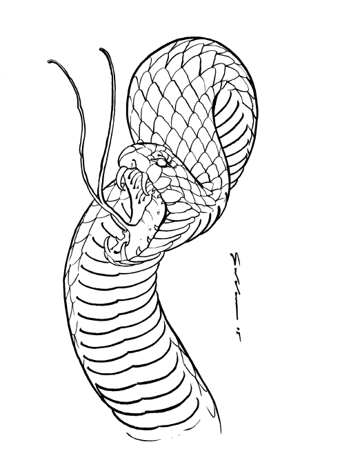 HOW 2 DRAW SNAKE SCALES - A QUICK GUIDE 