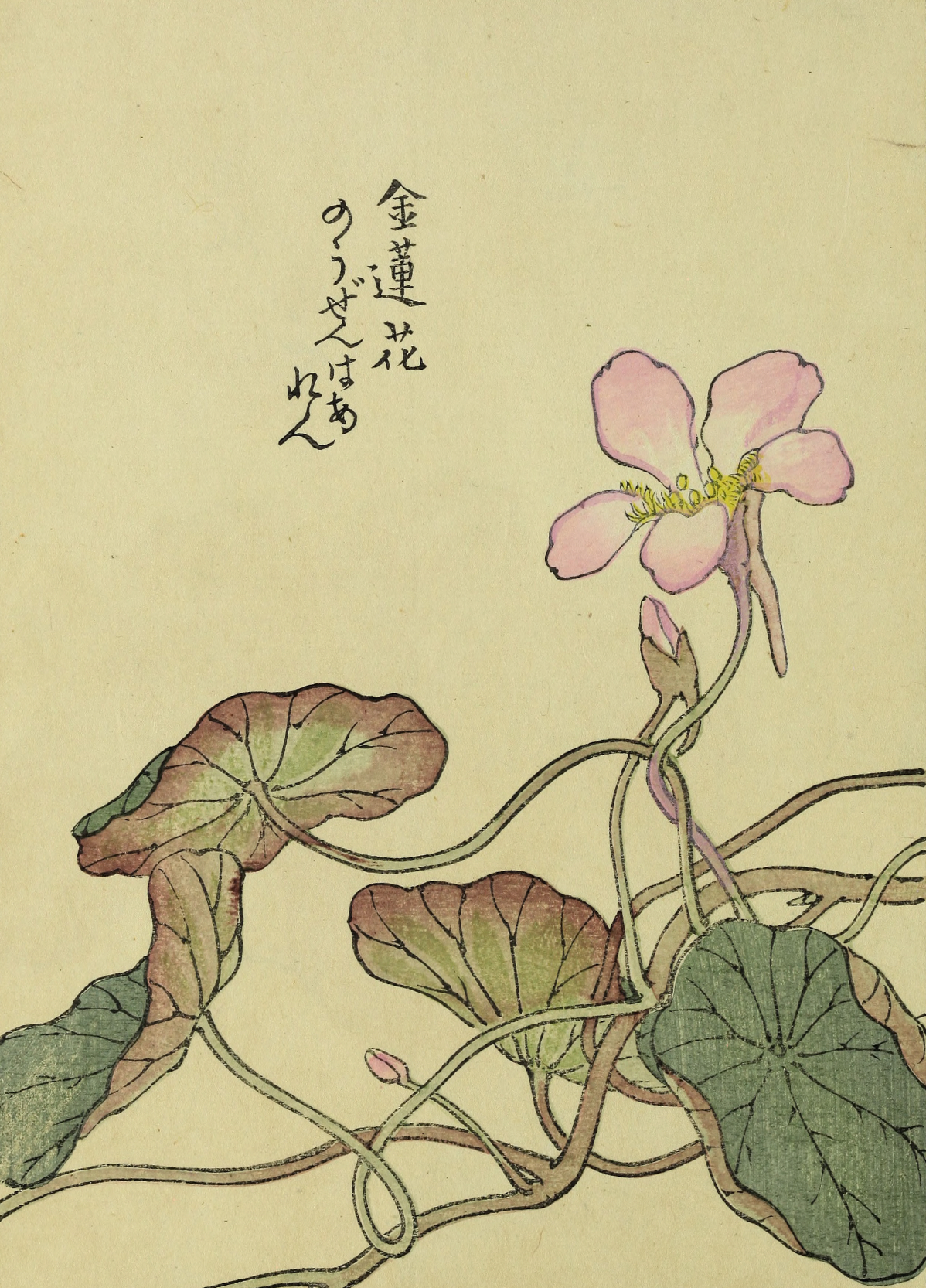 japanese flower prints